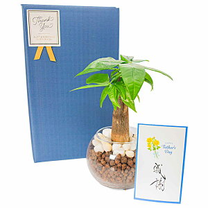 Mtg ϗtA bZ[WJ[ht zCgf[ oYj j җj 肪Ƃ { ϗtA nChJ`[ ~j ܂ pL TXxA Nɂ 