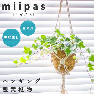 nMO ϗtA ݂艺 ACr[ wf vgnK[ nMOv^[ nMOO[ nMOoXPbg ݂ ݂邷 ݂蔫 Ԃ牺 Ǌ|    