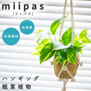 ϗtA ݂艺 |gX nMO S[f|gX vgnK[ nMOv^[ nMOO[ nMOoXPbg ݂ ݂邷 ݂蔫 Ԃ牺 Ǌ|   