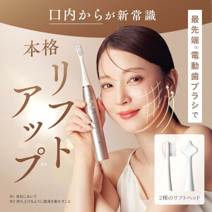 �y�����zMiiS LIFT BRUSH ���Ȉ�t�l�� ���t�g�A�b�v �d�����u���V ���e�Ɠd ������