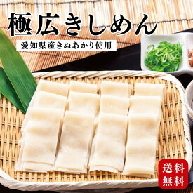 【お試し】 極広きしめん 圧倒的な幅広麺 もっちり食感 きしめん 半生 つけ麺 かけ 煮込み 乾麺 喉越し 名古屋土産 常温保存 送料無料
