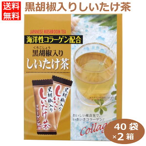 2Zbg Ӟ肵40 Ӟ  Ӟ ubNybp[  ͂Ȃ̂ 300253