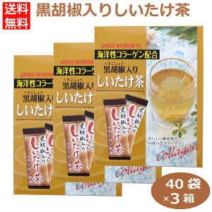 3Zbg Ӟ肵40 Ӟ  Ӟ ubNybp[  ͂Ȃ̂ 300253