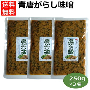 三袋セット 青唐がらし味噌(250g)青唐辛子 みそ ご飯のお供 お酒のおつまみ おみやげ 馬場音一商店 はなのき堂 500057