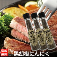 3本セット 黒胡椒にんにく65g ブラックペッパー ガーリック 万能調味料 300303