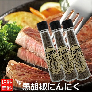 3{Zbg Ӟɂɂ65g ubNybp[ K[bN \ 300303