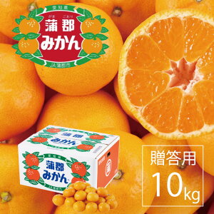 S݂ {쑁3kg ~10kg ݂ B݂ ݂ m Ss