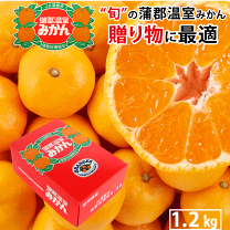 おちび 蒲郡みかん　9kg×2箱　送料無料　早生みかん 楽天市場】【ふるさと納税】G0190【期間限定】蒲郡みかん「お