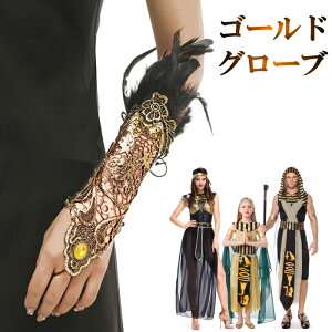 O[u A[Jo[ NIpg GWvg RX`[ ߏ  LL ZNV[  Xe[W V[ nEB Nu Cxg fBKK [XNC[ To p[eB[ 