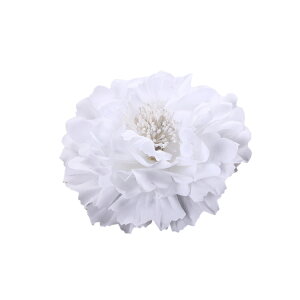 wbhhX wAANZT[ 2way t[ RT[W 傫  Nbv Ss  AW  a   Ǝ l ܎O tH[}  w JA _