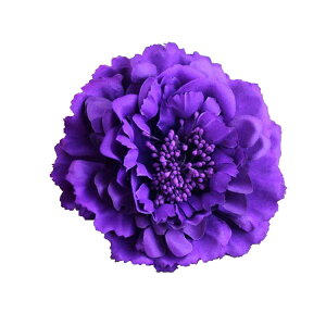 wbhhX wAANZT[ 2way t[ RT[W 傫  Nbv Ss  AW  a   Ǝ l ܎O tH[}  w JA _