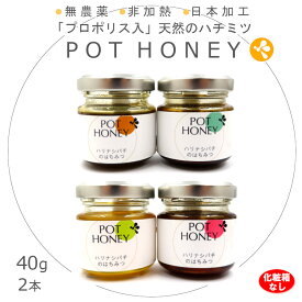 はちみつ プロポリス 2024 食べ物 蜂蜜 健康 ハチミツ 無農薬 非加熱 低糖質 ハリナシバチ 40g 2本 化粧箱なし