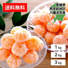 冷凍みかん 皮なし 冷凍 ミカン 愛媛産 オレンジ シャーベット クール便 ギフト 冷凍フルーツ 夏季限定 アイス デザート 西宇和 八幡浜 子供のおやつ フルーツアイス 冷凍食品 ナチュラルスイーツ 健康 スムージー