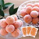 冷凍みかん 冷凍 ミカン 皮つき 愛媛産 まるごと オレンジ シャーベット クール便 ギフト 冷凍フルーツ 夏季限定 アイス デザート 西宇和 八幡浜 子供のおやつ フルーツアイス 冷凍食品 ナチュラルスイーツ 健康 スムージー