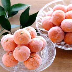 冷凍みかん 冷凍 ミカン 皮つき 愛媛産 まるごと オレンジ シャーベット クール便 ギフト 冷凍フルーツ 夏季限定 アイス デザート 西宇和 八幡浜 子供のおやつ フルーツアイス 冷凍食品 ナチュラルスイーツ 健康 スムージー
