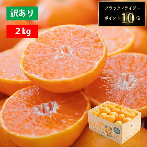 yԌ |Cg10{z ݂ Q ~J  󂠂  2kg Hא؂ l ɂ Y Fa uh ƒp  t[c ӂ[ ʕ   Â Z 