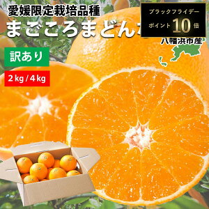 yԌ |Cg10{z ݂ g܂ǂ ܂ǂ i Qʎ28 󂠂 ƒp 2kg 4kg Â Q Vi ~J    }hi ʌ Q