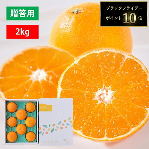 yԌ |Cg10{z ݂ ܂ǂ QY  Â v[g 蕨 Q Fan lsY 6`8 Mtg{bNX