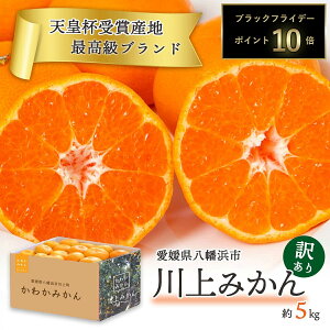 yԌ |Cg10{z ݂ Vct 킩݂ 5kg Q Q݂  ݂ Fa l 󂠂 ƒp ~J ʕ { t[c   