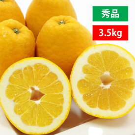 河内晩柑 秀品 3.5kg 美生柑 みかん ジューシー 和製 グレープフルーツ 愛媛 オレンジ 直送 旬 贈答