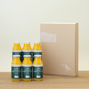 yԌ |Cg10{z ݂ IW W[X Y Xg[g 100 R̂߂ r 6{Zbg Mtg v[g 蕨 