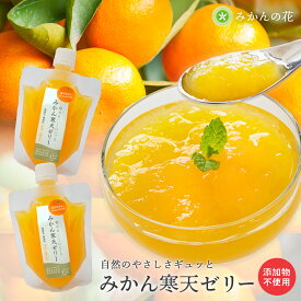 1000円ポッキリ みかんゼリー ギフト 愛媛 ゼリー ミカン フルーツゼリー お試し 飲むゼリー パウチ プレゼント 100g 詰め合わせ 無着色 無香料 子供 孫 国産 愛媛産 ミカン かんてん ぜりー 送料 無料 食べ比べ セット