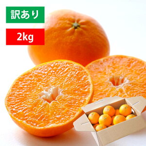 ݂ 󂠂 2kg Õ ؂ Z Â  Q ƒp L lC  { 010112000404