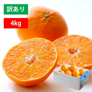 ݂ 󂠂 4kg Õ ؂ Z Â  Q ƒp L lC  { 010112000408