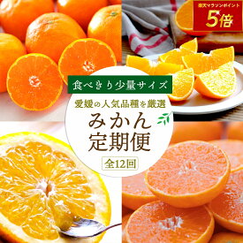 【楽天マラソン限定ポイント5倍】みかん かんきつ 定期便 お試し 食べ切り 少量 全12回 秀品 愛媛産 高級 希少 まどんな 甘平 せとか