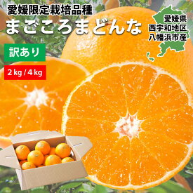 みかん 紅まどんな まどんな 同品種 愛媛果試28号 訳あり ご家庭用 2kg 4kg 甘い 愛媛 新品種 ミカン 蜜柑 高級 希少 マドンナ 数量限定 愛媛限定