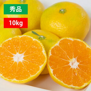 ݂ Q ɑ ~J  3kg 5kg 10kg Fa l Gi 󂠂 ƒp uh  