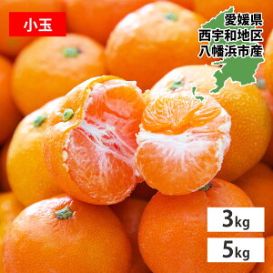 【期間限定 ポイント10倍】 みかん 愛媛 ミカン 蜜柑 訳あり 小玉 3kg 5kg お試し 大容量 食べ切り 八幡浜 にしうわ 国産 西宇和 ブランド ご家庭用 箱買い フルーツ ふるーつ 果物 くだもの 青果 甘い 濃厚 希少 直送 産地直送 酸味 小さいサイズのみ
