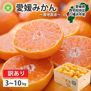 【期間限定 ポイント10倍】 みかん 訳あり 愛媛みかん 愛媛 10kg 5kg 3kg 食べ切り 大容量 八幡浜 にしうわ 国産 西宇和 ブランド ご家庭用 箱買い ミカン 蜜柑 フルーツ ふるーつ 果物 くだもの 青果 甘い 濃厚 希少 直送 産地直送 酸味