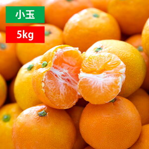 ݂ Q ɑ ~J   3kg 5kg Fa l 󂠂 ƒp uh   S`3STCY