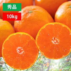 ݂ Q݂ Q ~J  Gi 10kg 5kg 3kg Hא؂ e Ε Mtg v[g  蕨 l Ή l ɂ Y Fa ƒp  t[c ӂ[ ʕ 