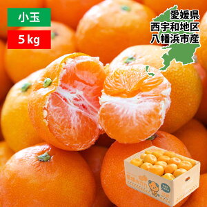 みかん 愛媛 ミカン 蜜柑 訳あり 小玉 3kg 5kg お試し 大容量 食べ切り 八幡浜 にしうわ 国産 西宇和 ブランド ご家庭用 箱買い フルーツ ふるーつ 果物 くだもの 青果 甘い 濃厚 希少 直送 産地