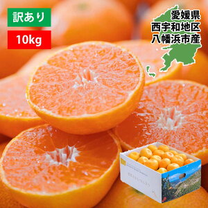 みかん 訳あり 愛媛みかん 愛媛 10kg 5kg 3kg 食べ切り 大容量 八幡浜 にしうわ 国産 西宇和 ブランド ご家庭用 箱買い ミカン 蜜柑 フルーツ ふるーつ 果物 くだもの 青果 甘い 濃厚 希少 直送 産