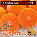 みかん 5kg 訳あり 送料無料 ブランド 愛媛県西宇和地区八幡浜市産 ご家庭用