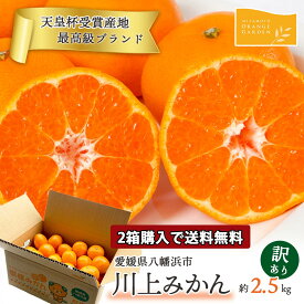 【2箱購入で送料無料】 みかん 川上みかん 訳あり 天皇杯受賞 2.5kg 愛媛 愛媛みかん 川上 かわかみかん 西宇和 八幡浜 ご家庭用 ミカン 果物 旬 フルーツ 産地直送