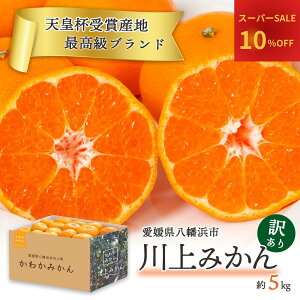 yԌ X[p[Z[10%OFF|Cg10{z݂ Vct 킩݂ 5kg Q Q݂  ݂ Fa l 󂠂 ƒp ~J ʕ { t[c  