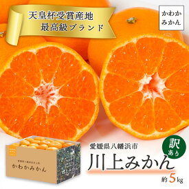 みかん 天皇杯受賞 かわかみかん 5kg 愛媛 愛媛みかん 川上 川上みかん 西宇和 八幡浜 訳あり ご家庭用 ミカン 果物 旬 フルーツ 蜜柑 送料無料 傷物