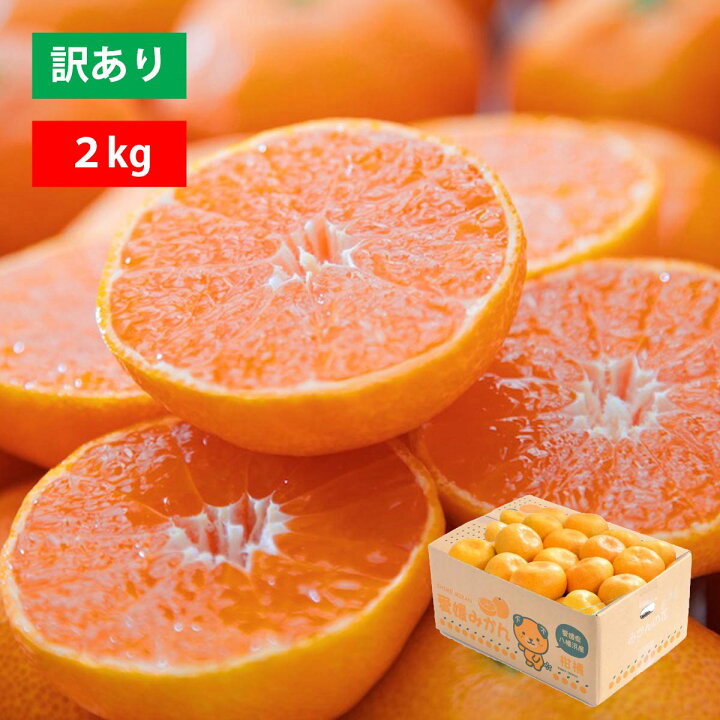 楽天市場】みかん 愛媛 ミカン 蜜柑 訳あり お試し 2kg 食べ切り 