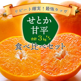 愛媛産 せとか 甘平 食べ比べ 詰め合わせ セット 訳あり 各1.5kg 計3kg 010139000406
