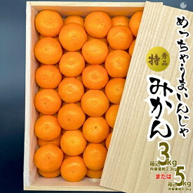【予約】 みかん めっちゃうまいんじゃ 木箱入 箱込5kg 箱込3kg みかんの会厳選 特選品 M S 2S サイズのいずれか 贈答用果物 贈答用フルーツ 甘いみかん 旬の果物 旬のフルーツ お取り寄せ ギフト プレゼント フルーツギフト 和歌山 産地直送 贈答用 2025年11月中旬より出荷