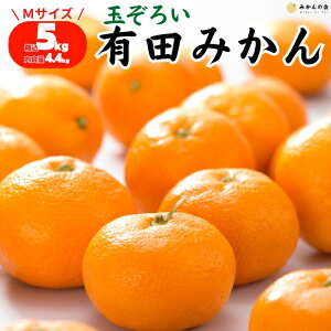 y\z ݂ Gi MTCY  5kg 2.5kg a̎RY Lc݂ pʕ  Yn p ~J Â݂ mikan   v[g Mtg 蕨 ʕ t[cMtg 