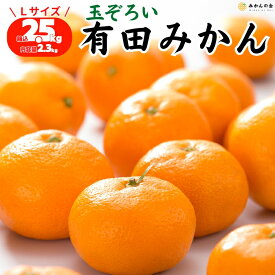 【予約】 みかん 秀品 Lサイズ 箱込 5kg 2.5kg 和歌山県産 有田みかん 贈答用果物 お取り寄せ みかん5キロ みかん箱買い 産地直送 贈答用 ミカン 甘いみかん mikan 蜜柑 贈答 プレゼント ギフト 贈り物 果物 フルーツギフト フルーツ みかん箱買い 2025年11月中旬より出荷