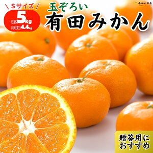 �݂��� �G�i S�T�C�Y ���� 5kg 2.5kg �a�̎R���Y �L�c�݂��� �~�J�� ���� �Â� ���� ������ �~�݂��� �݂��񂨍Ε� �Y�n���� �����p ���� �M�t�g �v���[���g ���Ε� ���蕨 �����p�݂��� �L�c�~