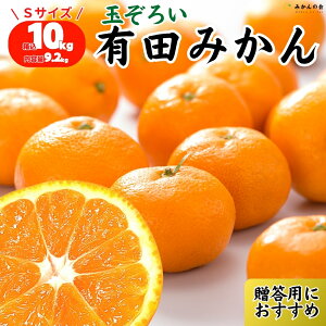 y\z ݂ Gi STCY  5kg 2.5kg a̎RY Lc݂ ~J  Â   ݂񂨍Ε Yn p  Mtg v[g Ε 蕨 p݂ Lc~