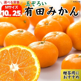 みかん 秀品 Mサイズ 選べる容量 和歌山県産 有田みかん 和歌山ミカン 贈答用果物 冬みかん お取り寄せ 箱みかん 箱入りみかん 産地直送 贈答用 ミカン 甘いみかん 蜜柑 贈答 プレゼント ギフト 贈り物 果物 フルーツギフト フルーツ みかん箱買い 株式会社みかんの会