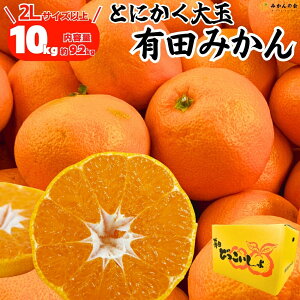 y\z ݂  ǂ  10kg (e 9.2kg) 2LTCYȏ ʂ݂ Gi Di  a̎RY Lc݂ 傫 Lc~J 肽݂ Â~J Â݂ Yn 